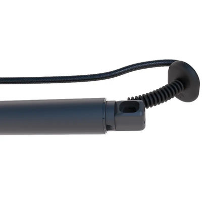 GLE C292 cửa sau xe hơi Liftgate Gas Struts OEM 2928900300
